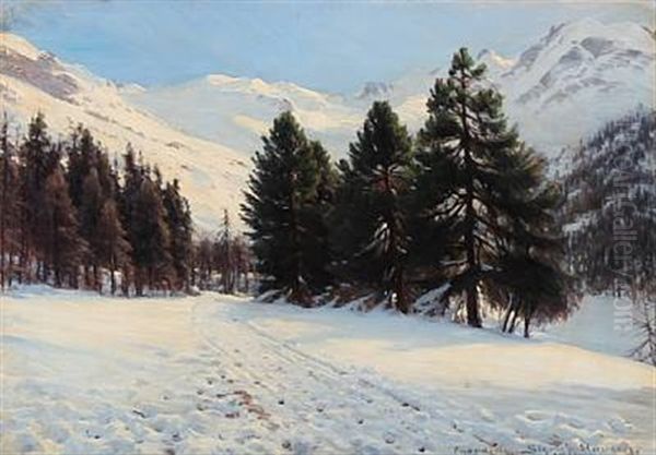 Winter Landscape From Engadin In Switzerland - view 1