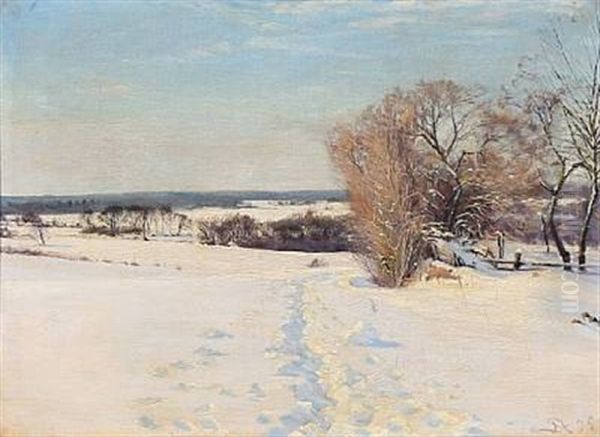 Danish Winter Landscape - view 1
