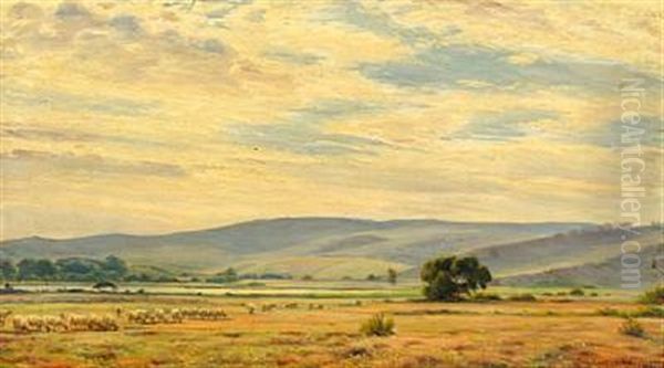 Landscape With Grazing Sheep - view 1