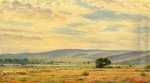 Landscape With Grazing Sheep