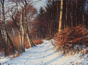 Snowy Forest Path Snowy Forest Path