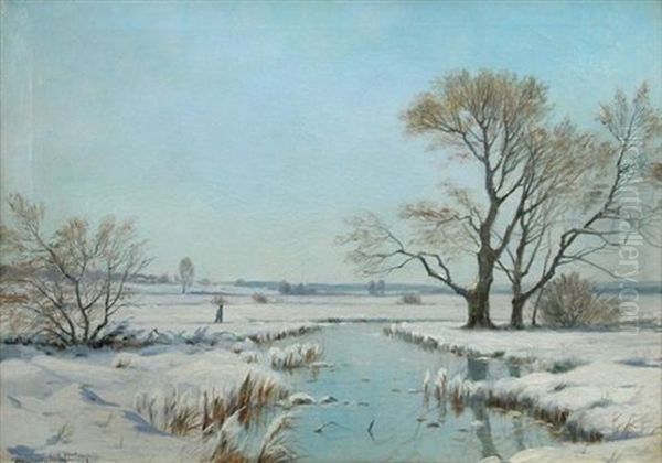 Winter's Scene With A Walker In The Snow - view 1
