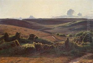 View Of A Moor Landscape In The Afternoon by Sigvard Hansen