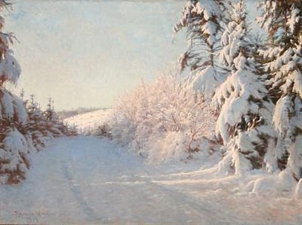 Winter Landscape In The Red Glow Of The Evening Sun - view 1