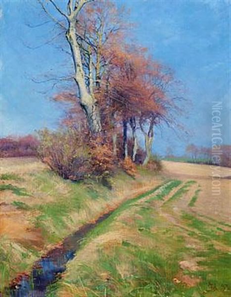 A Spring Landscape In Sunshine - view 1
