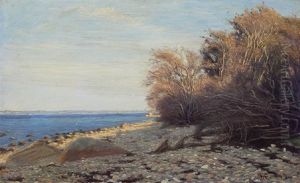 Strandparti Med Udsigt Over Havet, I Det Fjerne Skimtes Kystlinie Strandparti Med Udsigt Over Havet, I Det Fjerne Skimtes Kystlinie
