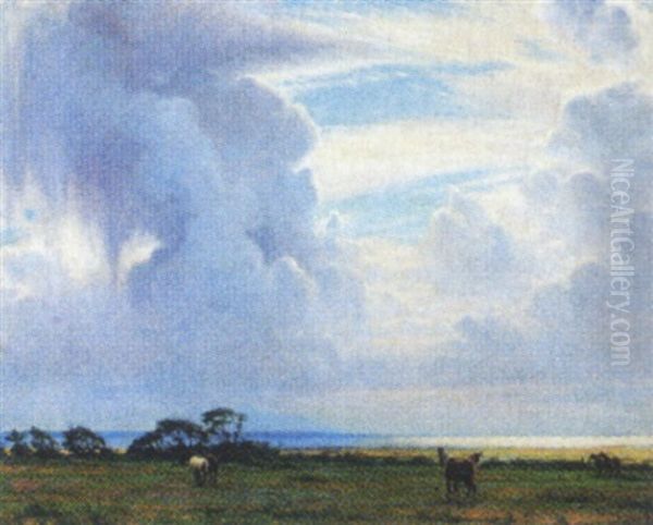 Udsigt Fra Kunstnerens Hjem Pa Mols, Ebeltoft Bugt - view 1