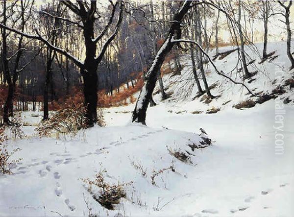 Winter Landscape - view 1