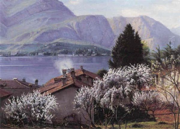 Parti Fra Como-soen - view 1