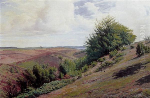Landskab Med Lyngklaedte Bakker - view 1