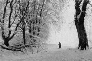 Vinterskog Med Promenerande Kvinna
