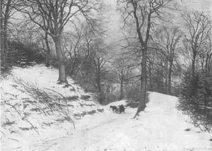 Skovparti Med Hestekoretoj, Vinter Skovparti Med Hestekoretoj, Vinter