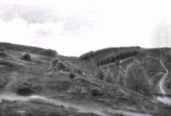 Lyngbakker - view 1