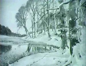 Skovparti Med So Og Sprinende Bukke, Vinter Skovparti Med So Og Sprinende Bukke, Vinter