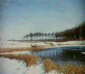 A Lake In Winter A Lake In Winter