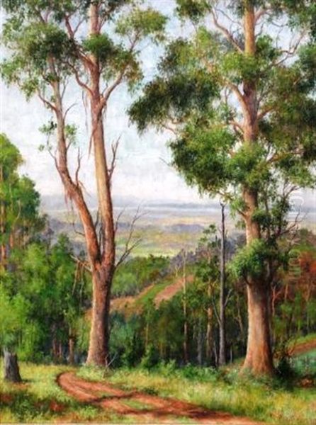 Landscape - view 1