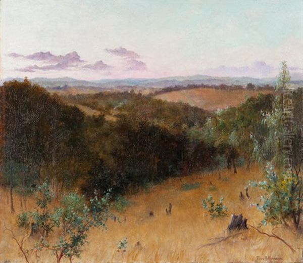 The Clearing - view 1