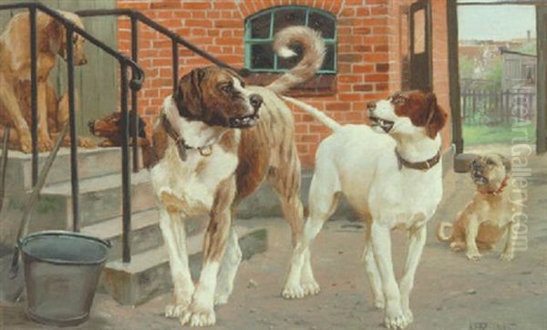 Gardsplads Med Hunde - view 1