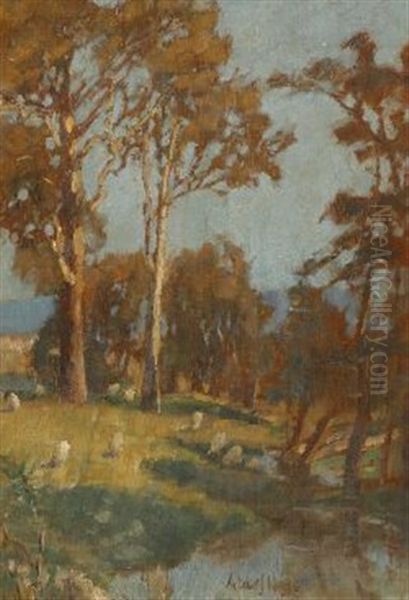 Bluegums With View Of A Pool - view 1