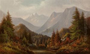 View Of The Mountain