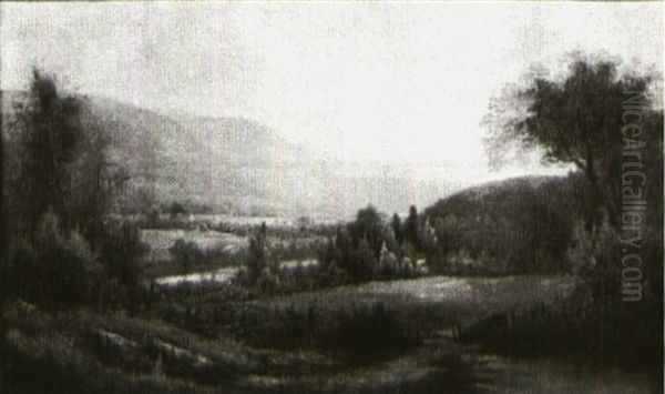 Country Landscape - view 1
