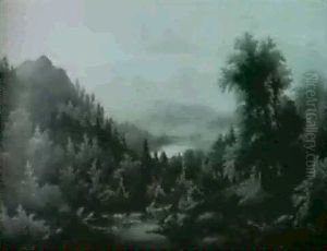 Mountain Streams And Woodlands/a Panoramic View, Upstate New York by Peter Hanson