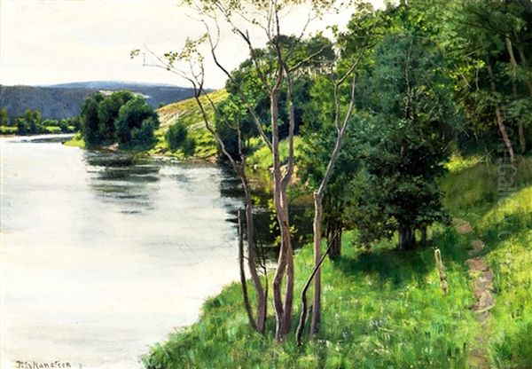 Landskap Med Elv - view 1