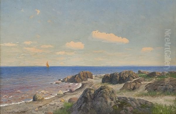Kystlandskap - view 1