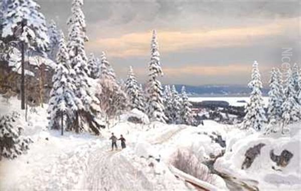 Skitur I Baerumsmarka - view 1