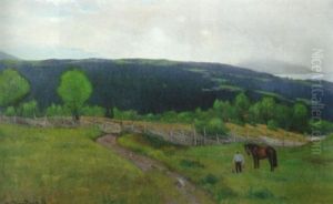 Fra Gaarden Lie Paa Toten by Nils Severin Lynge Hansteen