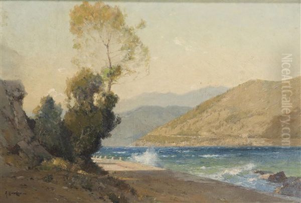 Dalmatian Coast - view 1