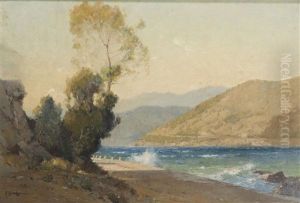 Dalmatian Coast