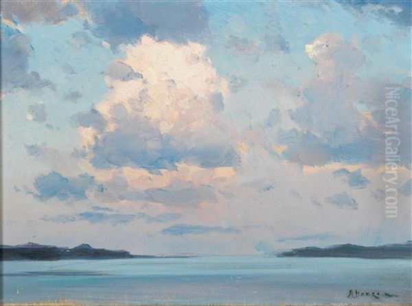 Meereskuste - view 1