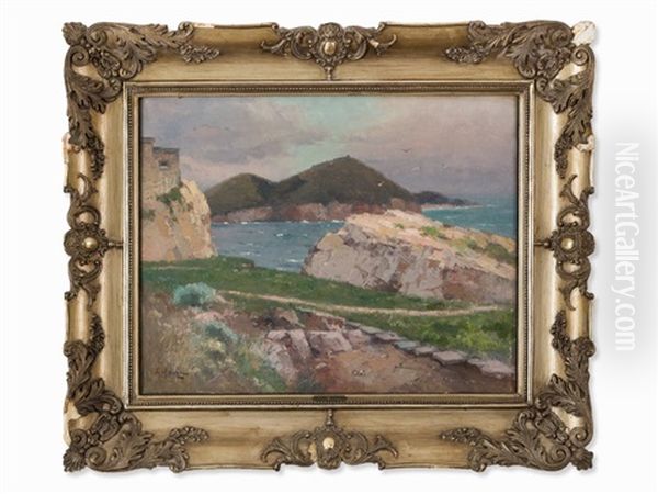 Dalmatian Coast - view 1