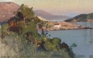 View Of The Dalmatian Coast