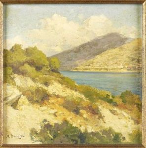Sunlit Coastline