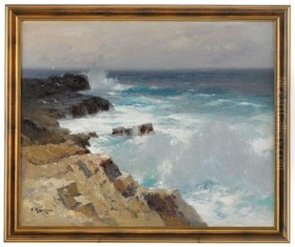 Swell Off A Rocky Coastline - view 1