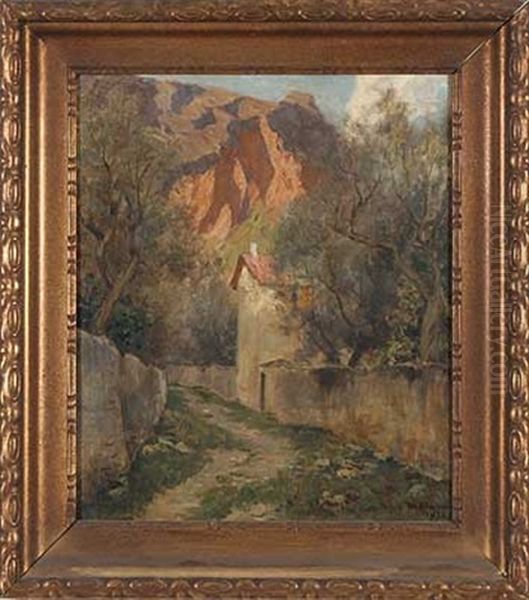 Unter Olivenbaumen - view 1