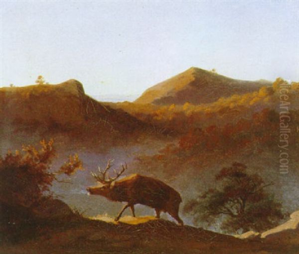 Bjerglandskab Med Kronhjort - view 1