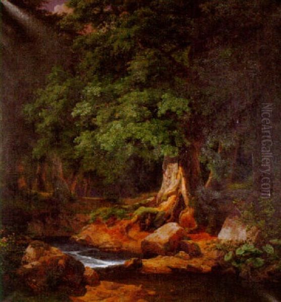 A Woodland Scene - view 1