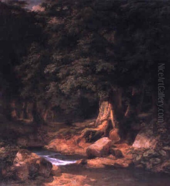 A Forest Stream - view 1