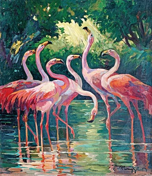 Flamingos - view 1