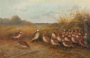 Bevy Of Beauties by Gerard Rutgers Hardenbergh