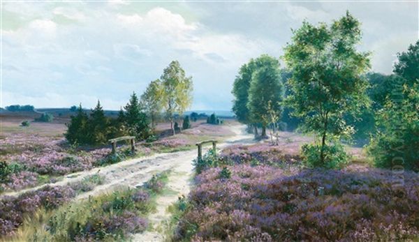 Open Heathland In Blossom - view 1