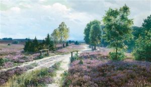 Open Heathland In Blossom
