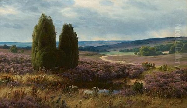 The Moorlands - view 1