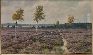 Hedlandskap