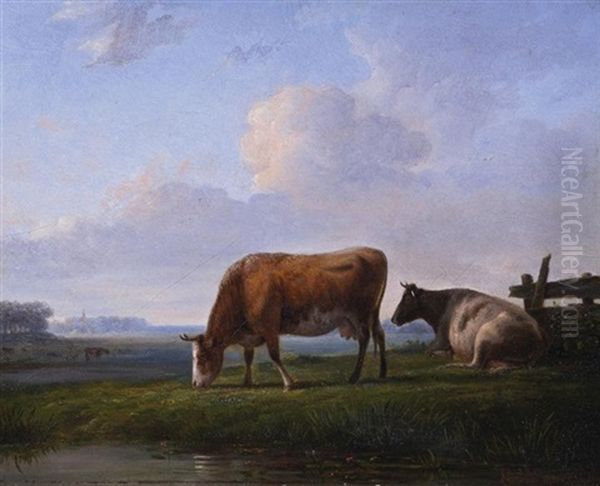 Weidendes Vieh In Polderlandschaft - view 1