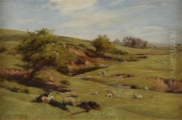 Sleeping Shepherd - view 1