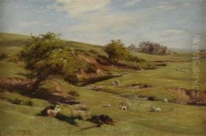 Sleeping Shepherd Sleeping Shepherd